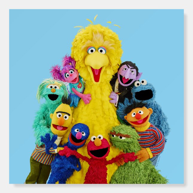 Sesame Street | Fun Colorful Pals Portrait Foam Board (Front)