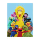 Sesame Street | Fun Colorful Pals Portrait