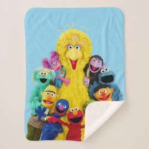 Sesame Street   Fun Colorful Pals Portrait Sherpa Blanket