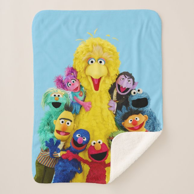Sesame Street | Fun Colorful Pals Portrait Sherpa Blanket (Front)