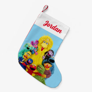 Sesame Street Fun Colorful Pals Portrait Small Christmas Stocking