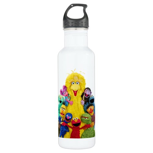 Sesame Street  Fun Colorful Pals Portrait Stainless Steel Water Bottle