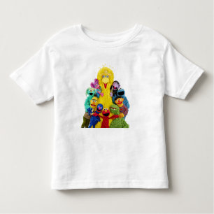 Sesame Street Fun Colorful Pals Portrait Toddler T-shirt