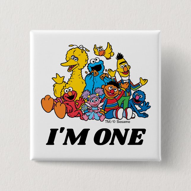 Sesame Street Pals 1st Birthday  Button (Front)