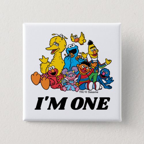 Sesame Street Pals 1st Birthday  Button