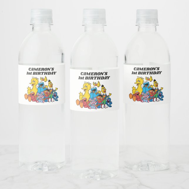 Sesame Street Pals 1st Birthday Water Bottle Label (Bottles)
