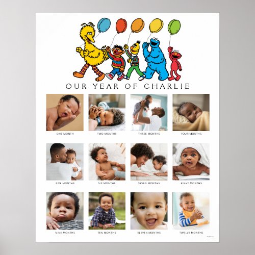 Sesame Street Pals  Babys First Year Poster