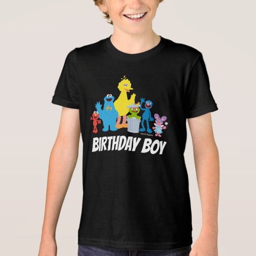 Sesame Street Pals  Birthday Boy _ Name  Age Tri_Blend Shirt