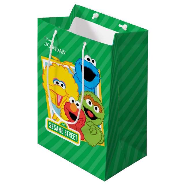 Sesame Street Pals Birthday Medium Gift Bag (Front Angled)