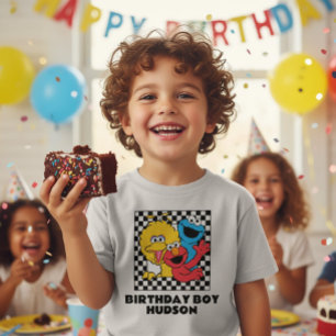 Sesame Street Pals Checkered Birthday Boy Toddler T-shirt