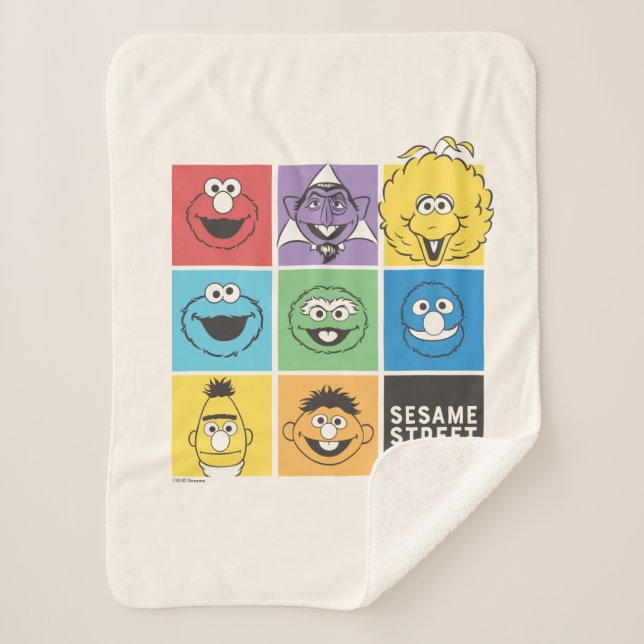 Sesame Street Pals | Color Blocks Sherpa Blanket (Front)