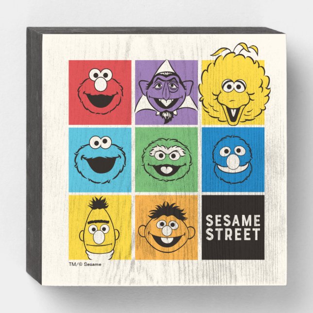 Sesame Street Pals | Color Blocks Wooden Box Sign (Front Horizontal)