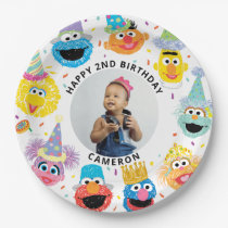 Sesame Street Pals Confetti Birthday Paper Plates