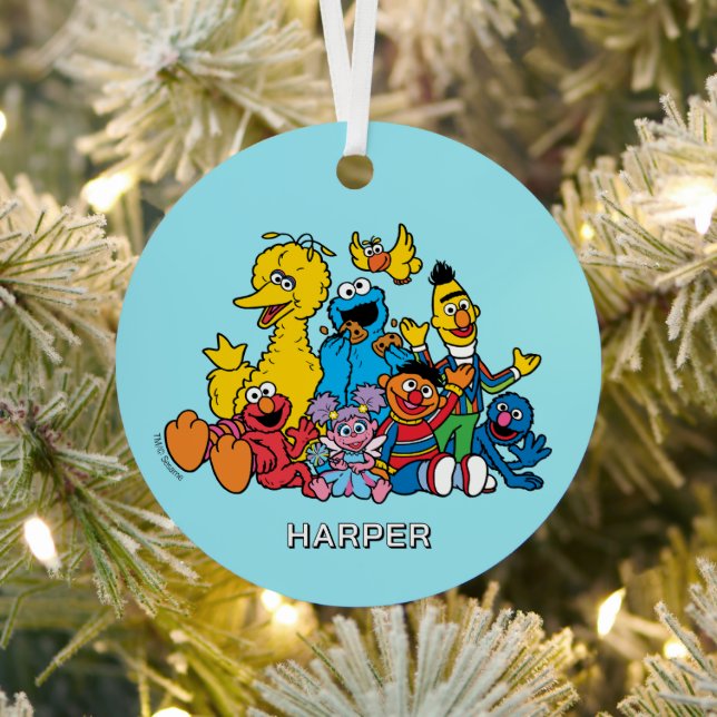 Sesame Street Pals | Customized Name & Photo Metal Ornament (Insitu)