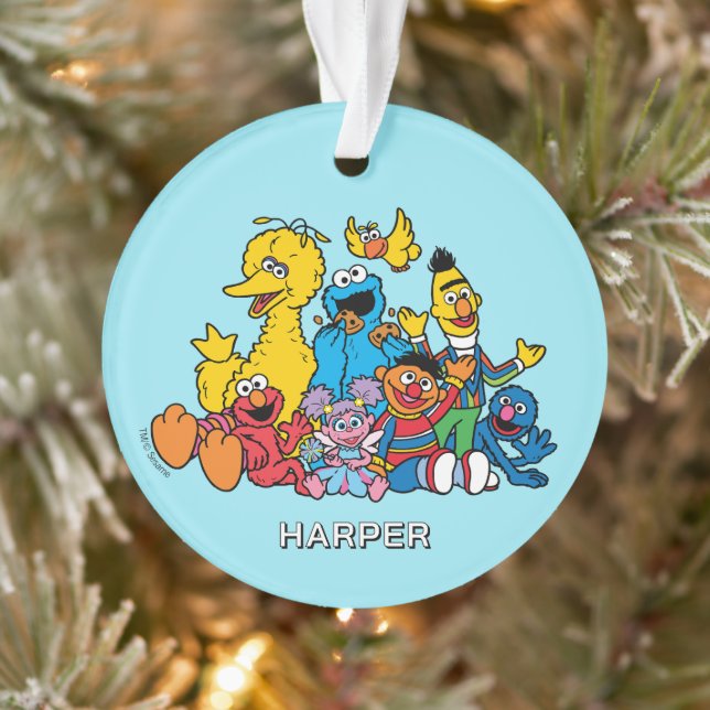 Sesame Street Pals | Customized Name & Photo Ornament (Tree)