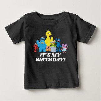 Sesame Street Pals | It's My Birthday Baby T-Shirt