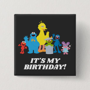 Sesame Street Pals It's My Birthday Button