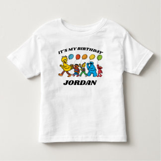 Sesame Street Pals | It's My Birthday Toddler T-shirt