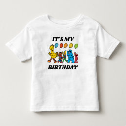 Sesame Street Pals | It&#39;s My Birthday Toddler T-shirt