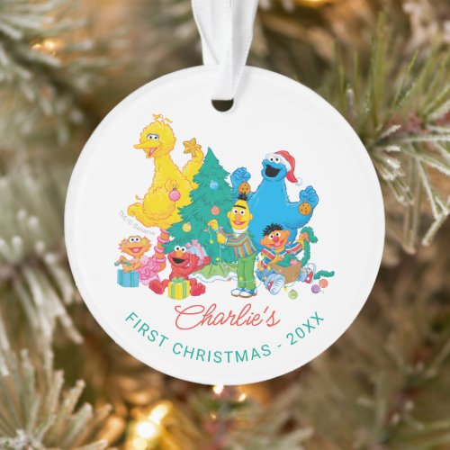 Sesame Street Pals   My First Christmas Photo Ornament