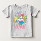 Sesame Street Pals Pastel | 1st Birthday