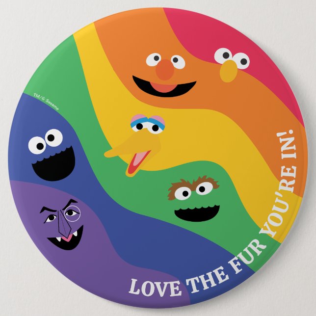 Sesame Street Pals Rainbow Button (Front)