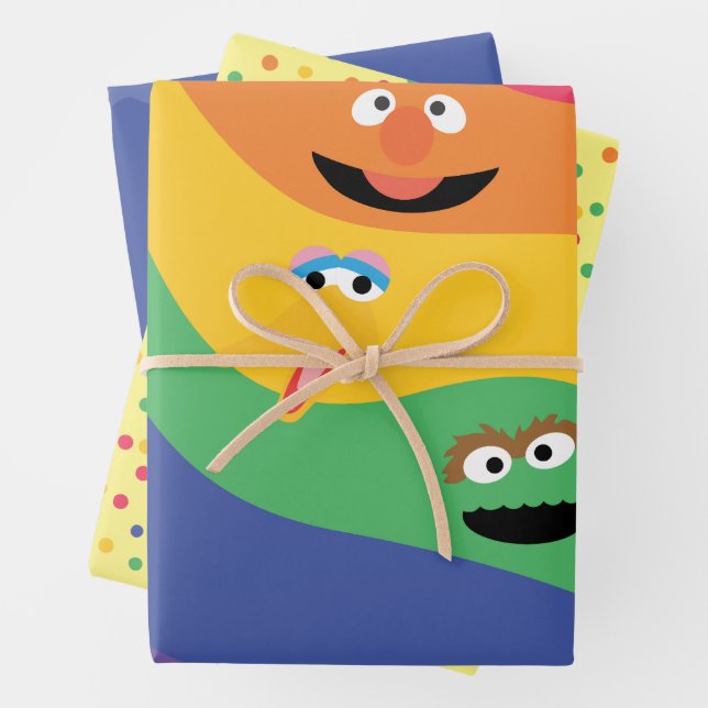 Sesame Street Pals Rainbow Wrapping Paper Sheets (In situ)