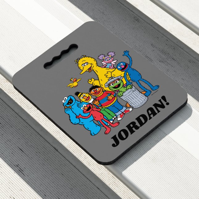 Sesame Street Pals Waving Seat Cushion (In Situ)