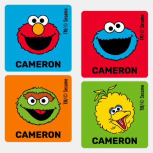 Sesame Street Personalized Kids Labels