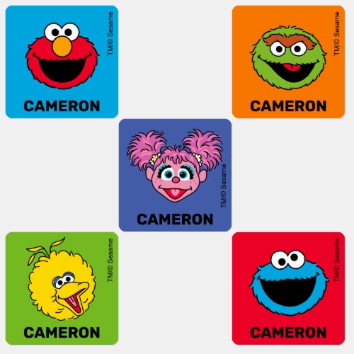 Sesame Street Personalized Kids Labels