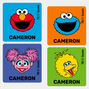 Sesame Street Personalized Kids Labels