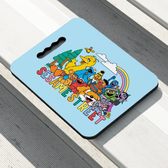 Sesame Street | Rainbow Wave Seat Cushion (In Situ)