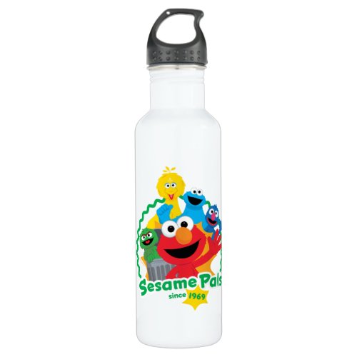 Sesame Street  Sesame Pals Since 1969 Stainless Steel Water Bottle