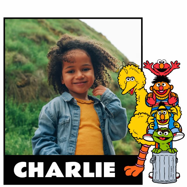 Sesame Street | Sesame Street Pals Pose Cutout (Front)