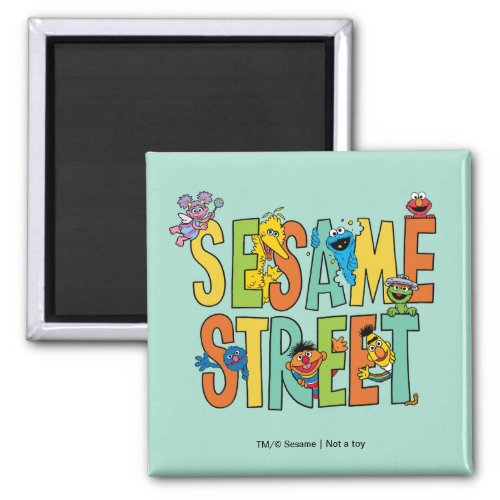 Sesame Street  Sesame Street Type Pals Magnet