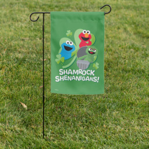Sesame Street Shamrock Shenanigans! Garden Flag