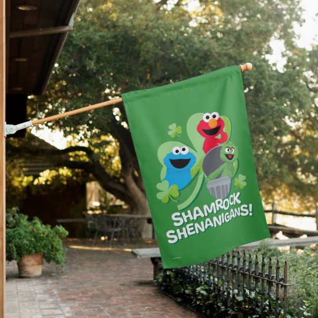 Sesame Street | Shamrock Shenanigans! House Flag (In SItu)
