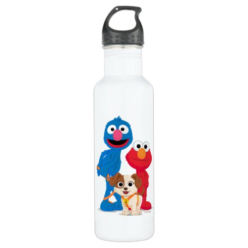 Sesame Street  Tango With Grover  Elmo Stainless Steel Water Bottle