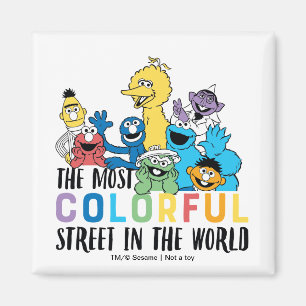 Sesame Street   The Most Colorful Street Magnet
