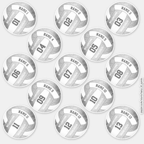 set 13 girly silver gray volleyball players names sticker