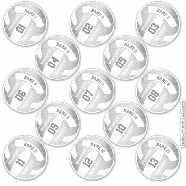 set 13 girly silver gray volleyball players names sticker (Front)