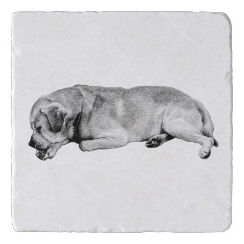 Set Down, Breathe Trivet