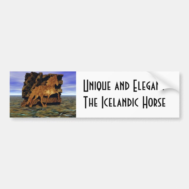 Set in Stone Bumper Sticker (Front)