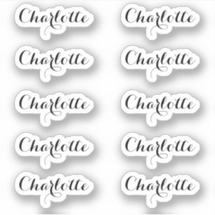 Set of 10   Small Elegant Script Name Sticker
