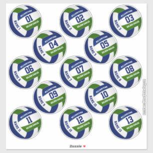 Set of 13 custom players' blue green volleyball sticker