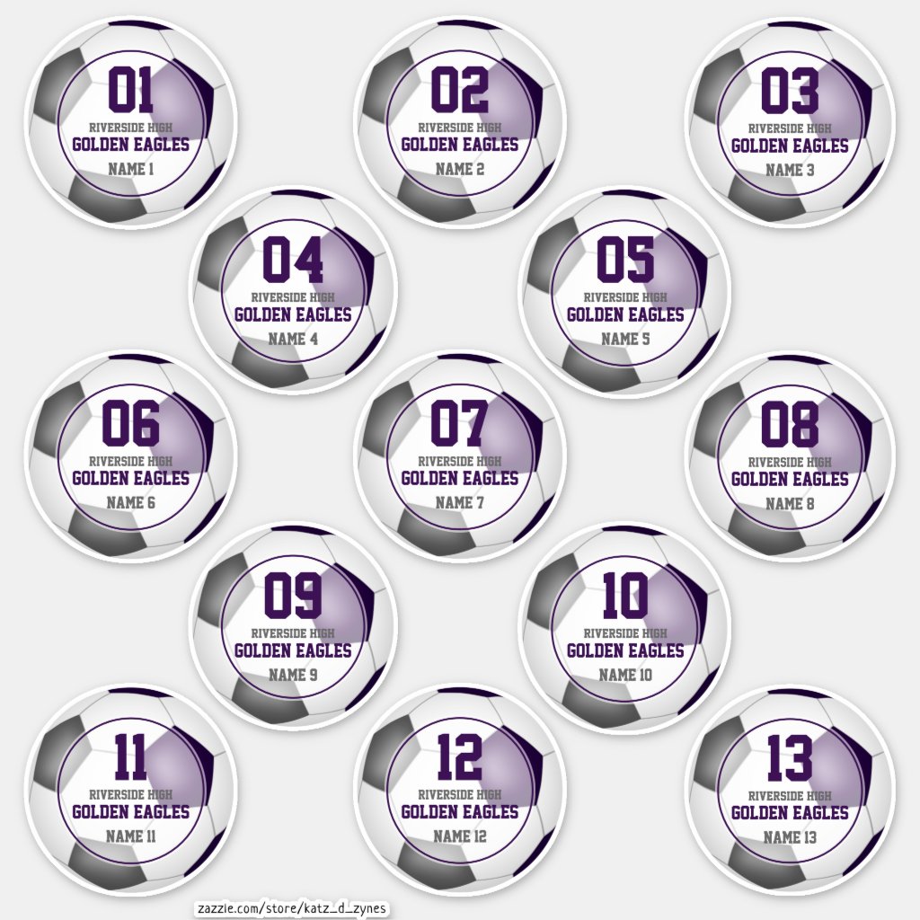 Set of 13 girls boys purple gray soccer team stickers