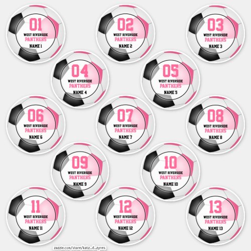 Set of 13 girls pink black soccer team spirit sticker