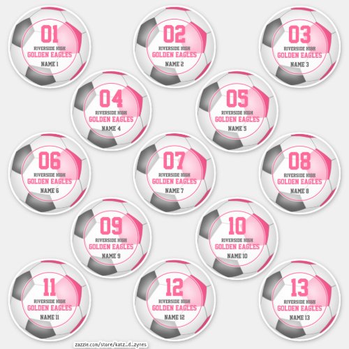 Set of 13 girls pink gray soccer team spirit sticker