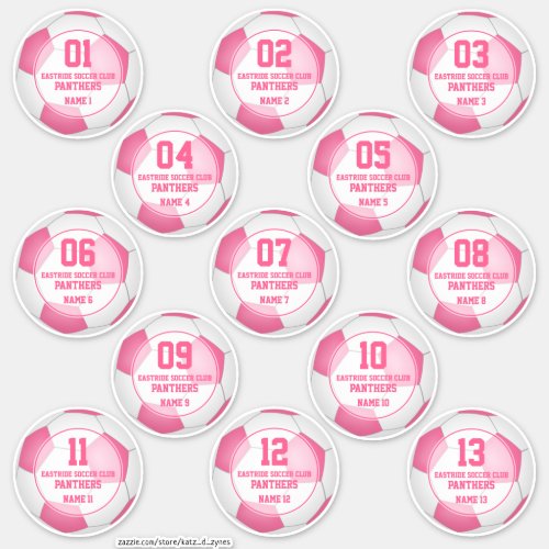 Set of 13 girls pink soccer club team spirit sticker