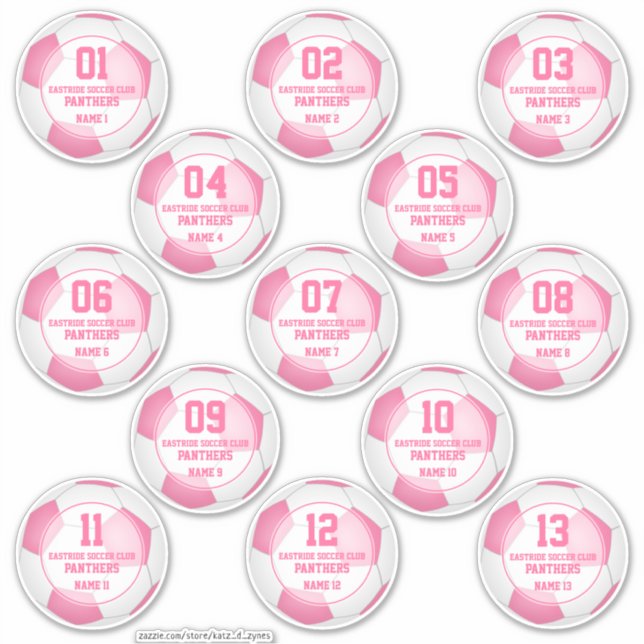 Set of 13 girls pink soccer club team spirit sticker (Front)